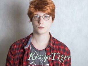KevinTiger