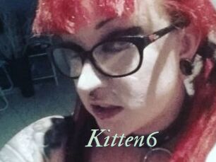 Kitten6