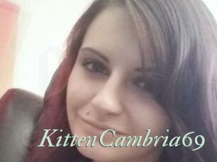 KittenCambria69