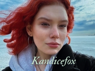 Kandicefox