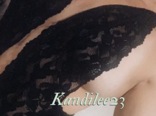 Kandilee23