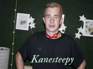 Kanesteepy