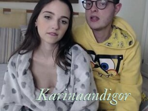 Karinaandigor