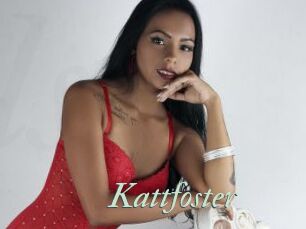 Kattfoster