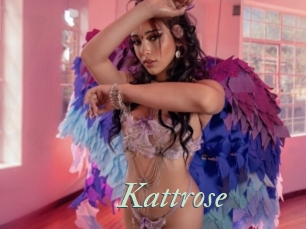 Kattrose