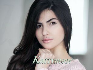 Kattymoor