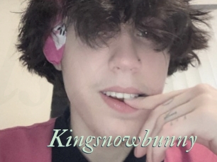 Kingsnowbunny