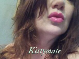 Kittymate