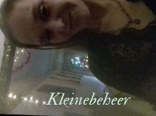 Kleinebeheer