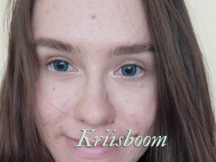 Kriisboom