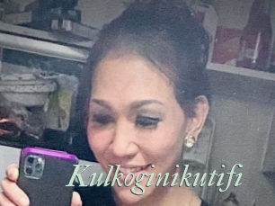 Kulkoginikutifi