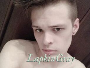 LapkinGray