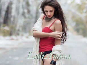 LediAmina