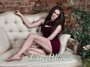 LillyBlloom