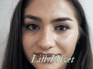LillyVelvet