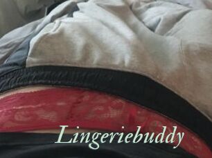 Lingeriebuddy