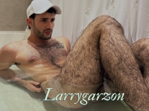Larrygarzon