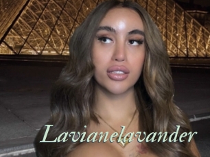 Lavianelavander
