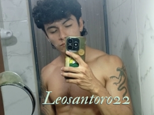 Leosantoro22