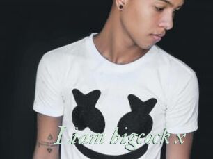 Liam_bigcock_x