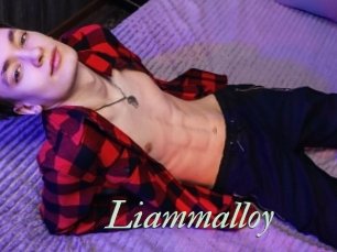 Liammalloy