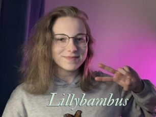 Lillybambus