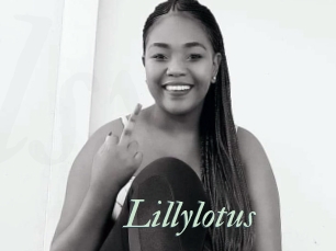 Lillylotus