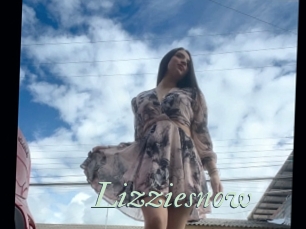 Lizziesnow