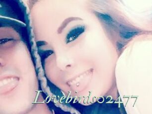 Lovebirds02477