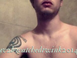 Luv2bwatchedtwink2014