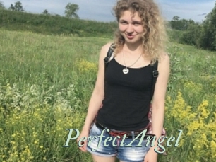 PerfectAngel