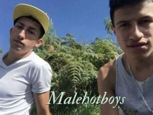 Malehotboys