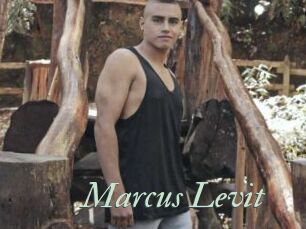 Marcus_Levit