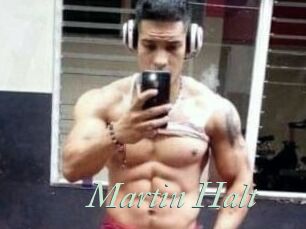 Martin_Halt