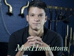 MaxHamintonn