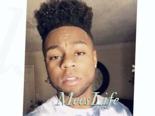 MeesLife