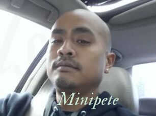 Minipete