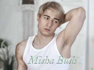 Misha_Bush