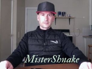 MisterShnake