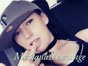 MontanaMustange
