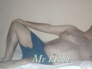 Mr_Hobbs