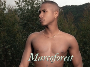 Marcoforest