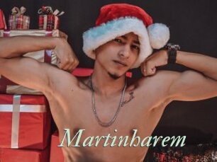 Martinharem