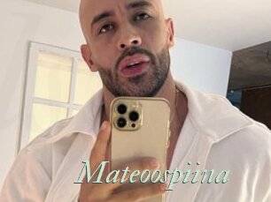 Mateoospiina