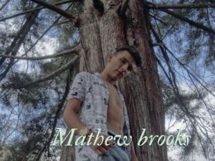 Mathew_brooks