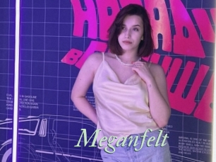 Meganfelt
