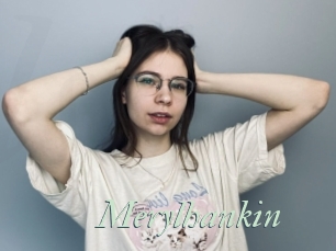 Merylhankin