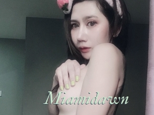 Miamidawn