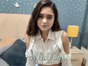 Mini_puca