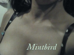 Mintbird